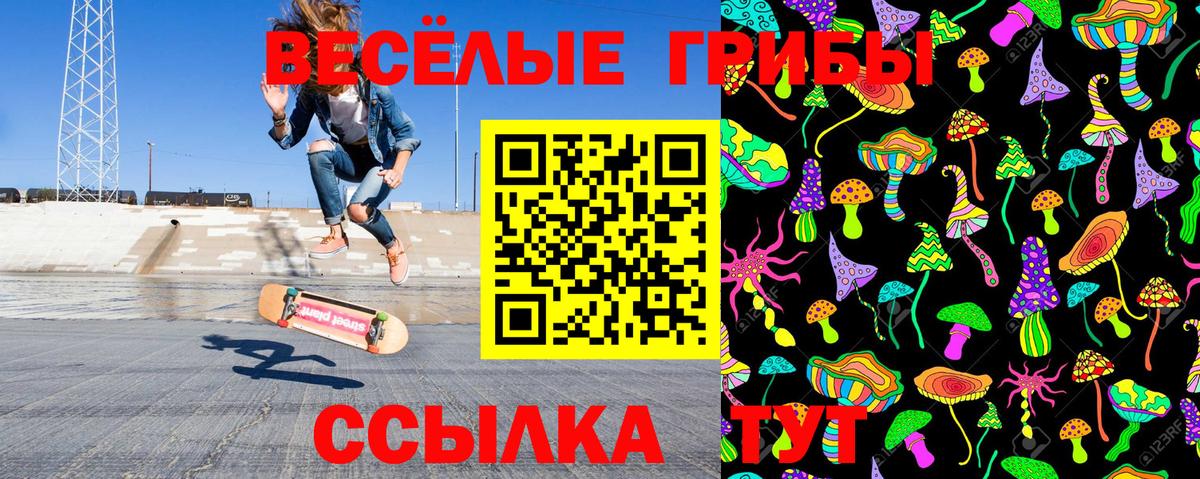 Псилоцибиновые грибы Psilocybe  Галлюциногенные грибы Cubensis  Мичуринск  Вход с VPN 