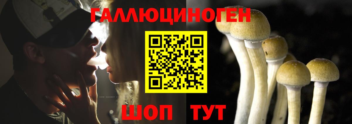 Галлюциногенные грибы ЛСД Мичуринск